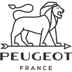 Codes promo et offres fr.peugeot-saveurs.com